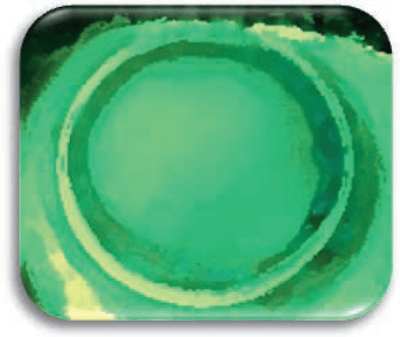 Walmart Vision Center 5 Things To Know Before Your First Visit