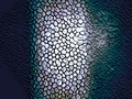 Waves of endothelium - 40cmx40cm - print on canvas.jpg
