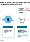 Gene therapy graphic