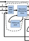 Illustration- map of the glaucoma mesosystem and microsystems