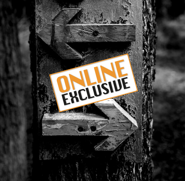 Online exclusive article link graphic