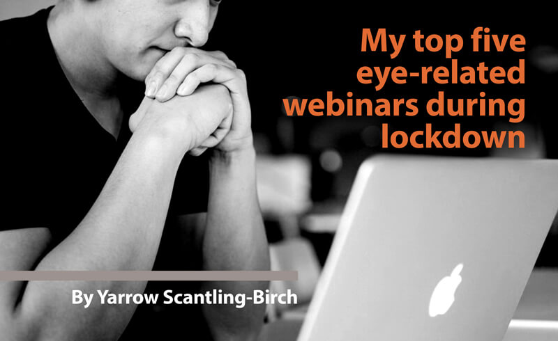 Scantling-Birch article link graphic