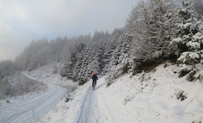 Photo showing Glentress Forest cycle in the snow eight hours pre-COVID