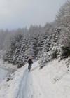 Photo showing Glentress Forest cycle in the snow eight hours pre-COVID