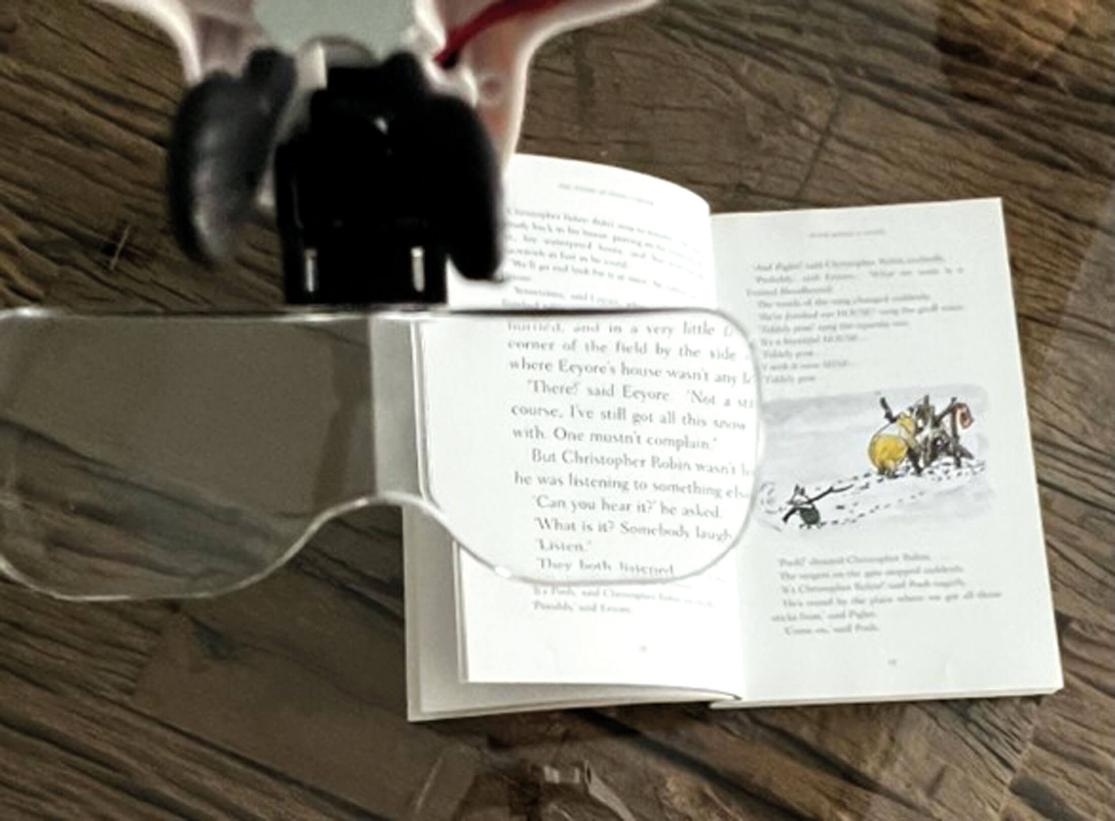 Photo showing a demonstration of wide field of view and ease of use. 