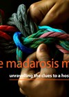 The madarosis mystery article graphic link image.