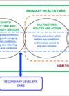 Schematic representation of primary eye healthcare.