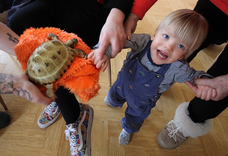 FOR-WEB-Danny-with-tortoise.jpg