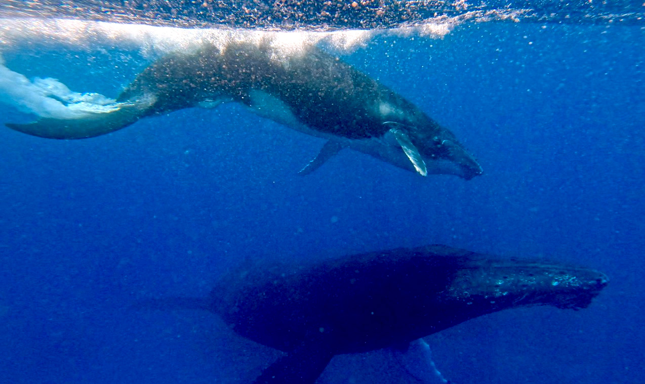 Photo showing Lizzie Rosen's South Pacific ophthalmology elective. 