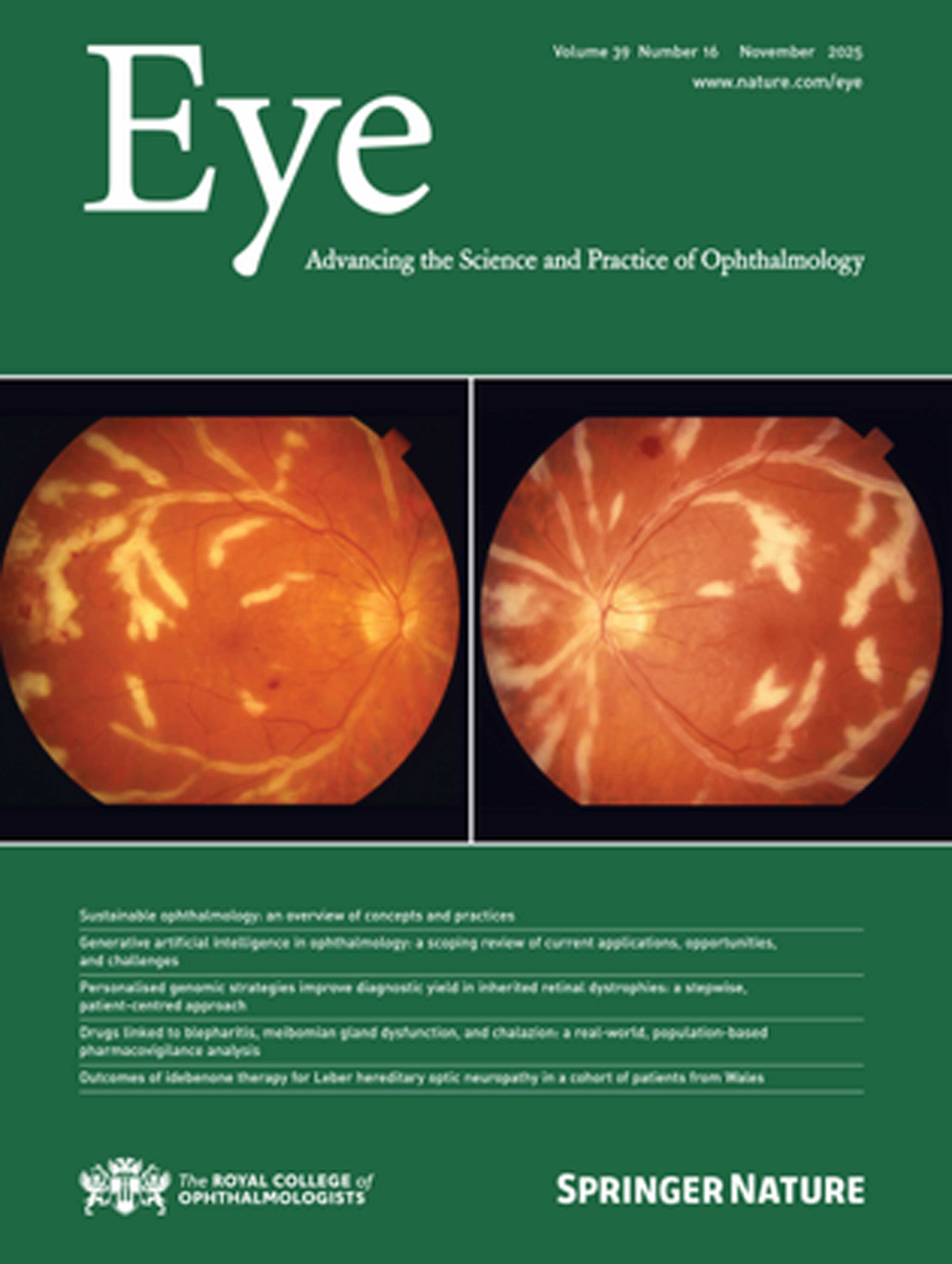 Eye journal cover image.