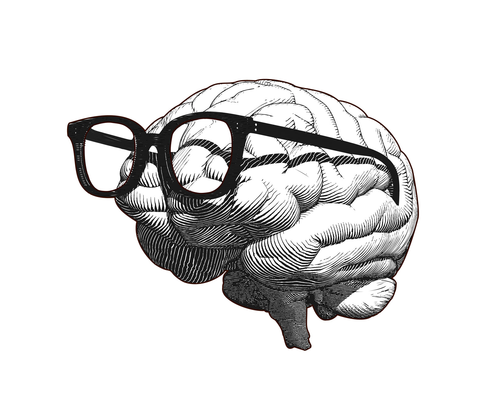 Illustration showing human brain and spectacles.
