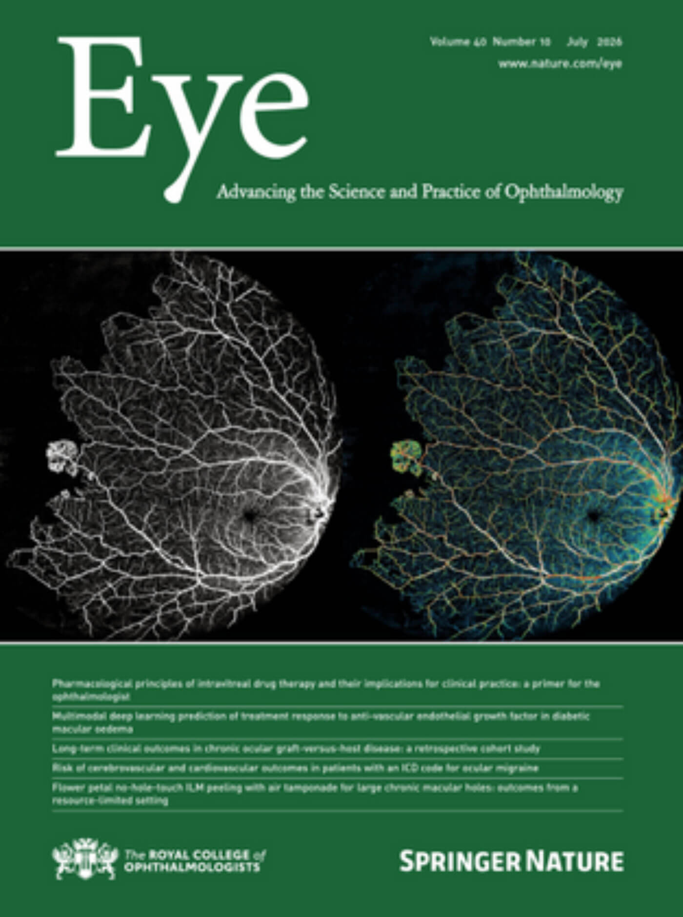 Eye journal cover image.