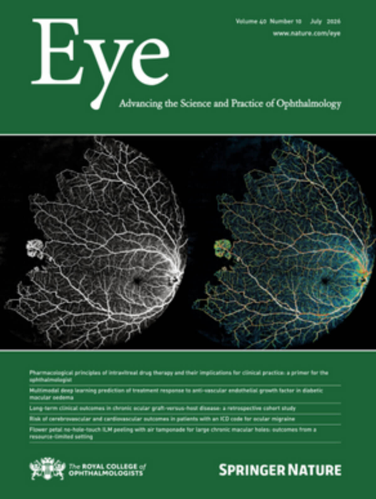 Eye journal cover image.